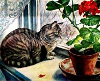 Bild: Katz (Voss-Album) © noten-apitz.de Bildquelle: Sammelalbum für Voss-Kunstbilder „Das Tierreich“, 1932 Hamburger Margarine-Werke