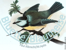 Bluette / Blaumeise – Paul Albrecht / M. Apitz Bild: Blaumeise Lexikon © noten-apitz.de Bildquelle: Meyers Konversations-Lexikon 4.Auflage 1888 Leipzig Verlag des Bibliographischen Instituts