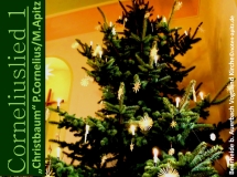 Corneliuslied 1 „Christbaum“ P. Cornelius/M. Apitz; Beerheide b. Auerbach Vogtland Kirche Sparte: Weihnachten (19. Jh. Konzert)