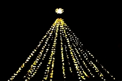 Bild: Weihnachtsstern Marktplatz Halle/Saale Bildlegende: Weihnachtsmarkt Halle © noten-apitz.de Bildquelle: Musikverlag Apitz - 16 -2
