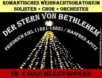 Der Stern von Bethlehem Nr.2 Bild: Weihnachtsstern Marktplatz Halle/Saale Bildlegende: Weihnachtsmarkt Halle © noten-apitz.de Bildquelle: Musikverlag Apitz