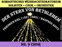 Der Stern von Bethlehem Nr.9 Bild: Weihnachtsstern Marktplatz Halle/Saale Bildlegende: Weihnachtsmarkt Halle © noten-apitz.de Bildquelle: Musikverlag Apitz
