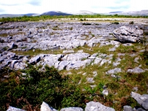 Burren National Park (An Bhoireann)-„steiniger Ort“); Karstlandschaft Nordwesten des County Clare; Irland ©noten-apitz.de; Bildquelle: Häckel