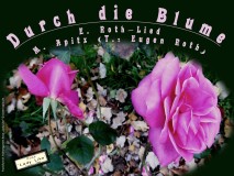 Durch die Blume (E. Roth-Lied) – M. Apitz; Bild: Frankfurt M. Palmengarten Rose „Lady Like“ © noten-apitz.de, Bildquelle: Musikverlag Apitz
