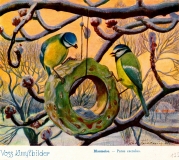 Bild: Blaumeisen Kunstbild Bildlegende: Blaumeisen Voss-Kunstbild © noten-apitz.de Bildquelle: Sammelalbum für Voss-Kunstbilder „Das Tierreich“, 1932 Hamburger Margarine-Werke
