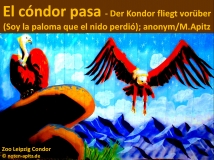 El cóndor pasa – Der Kondor fliegt vorüber (Soy la paloma que el nido perdió); anonym / M. Apitz; Sparte: Lateinamerika Volkslied