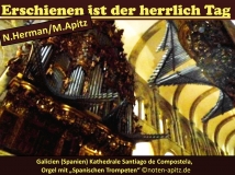 Erschienen ist der herrlich Tag N. Herman – Nikolaus Herman / M. Apitz; Galicien (Spanien) Kathedrale von Santiago de Compostela Orgel mit „Spanischen Trompeten“ Sparte: Deutschland geistlich