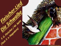 Fleischer-Lied „Die Schwalbe“ (Hexenlied) – Friedrich Gottlob Fleischer/M. Apitz (T.: Ludwig Hölty); Bild: Rauchschalbe; Bildquelle: Voss-Kunstbild (Serie) © noten-apitz.de