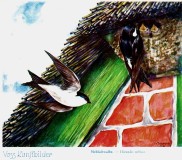 Bild: Rauchschalbe; Bildquelle: Voss-Kunstbild (Serie) © noten-apitz.de