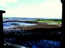 Ebbe vor Galway (Irland)”; Bildquelle: Häckel