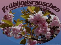 Frühlingsrauschen Variante für Orchester Christian August Sinding 1856-1941/M.Apitz Brambach Elbufer b. Aken © noten-apitz.de Sparte: Konzert 19. Jh.