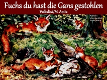 Fuchs du hast die Ganz gestohlen Bild: Füchse mit Beute Kunstbild Aquarell Bildlegende: Rotfuchs Voss-Kunstbild ©noten-apitz.de Bildquelle: Sammelalbum für Voss-Kunstbilder „Das Tierreich“, 1932 Hamburger Margarine-Werke