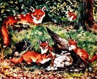 Bild: Füchse mit Beute Kunstbild Aquarell Bildlegende: Rotfuchs Voss-Kunstbild ©noten-apitz.de Bildquelle: Sammelalbum für Voss-Kunstbilder „Das Tierreich“, 1932 Hamburger Margarine-Werke