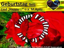 Geburtstag Teil1, Lied „Happy …“ o.a. M. Apitz (Manfred Apitz); Rosen Edderitzer See (Sachsen-Anhalt) Sparte: 20.+21. Jh. Konzert
