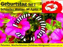 Geburtstag Teil 2, Schneller Walzer M. Apitz (Manfred Apitz); Petunien, Wucherblumen (Schönau Königssee) Sparte: 20. +21. Jh. Konzert