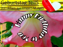 Geburtstag Teil 5, Ständchen aus Ungarn, M. Apitz (Manfred Apitz) Sparte: 20. +21. Jh. Konzert