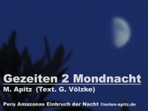 Gezeiten 2 Mondnacht M. Apitz (Text. G. Völzke); Sparte: 20.+21. Jh. Konzert