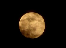 Bild: Mond Königslutter 8. 2. 2020 © noten-apitz.de Bildquelle: Musikverlag Apitz