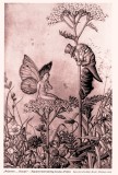 Bild: Aquarell „Gestatten…Raup“ Florry Leuchs-Scholl; Bildquelle: Ein Reis vom Narrenbaum, Verlag Ehrenwirth 1965