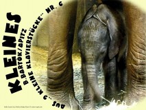 Kleines Nr. 6 – Béla Bartók / Manfred Apitz Bild: Zoo Halle Elefant Baby Elani, Bildquelle: Musikverlag Apitz