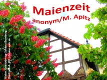Maienzeit, anonym/M. Apitz; historisches Gebäude vor dem Schloss Bernburg, Sachsen-Anhalt, Deutschland Sparte: Deutschland Volkslied