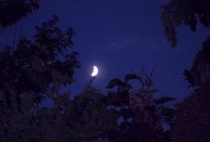 Kirschblüte… mit zunehmendem Mond ©noten-apitz.de; Bildquelle: Musikverlag Apitz