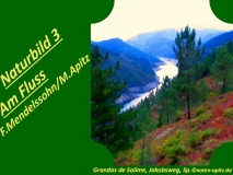 Naturbilder 3 Am Fluss, F. Mendelssohn / M. Apitz (Felix Mendelssohn Bartholdy / Manfred Apitz); Grandas de Salime, Jakobsweg, Sp. Sparte: 19. Jh. Konzert