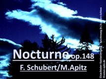 Nocturne op.148 F. Schubert / M. Apitz (Franz Schubert / Manfred Apitz); Eisacktaler Kastanienweg – Keschtnweg (It.) b. Albers Schloss Sparte: 19. Jh. Konzert