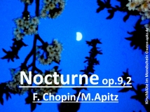 Nocturne op.9,Nr.2, F. Chopin/M. Apitz (Frédéric François Chopin oder Fryderyk Franciszek Chopin / Manfred Apitz); Kirschblüte im Mondschein Sparte: 19. Jh. Konzert
