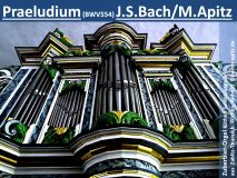 Praeludium (BWV554) J. S. Bach/M. Apitz (Bachwerk-Verzeichnis 554 Johann Sebastian Bach/Manfred Apitz); Zuberbier-Orgel Köthen Schlosskapelle (aus Zabitz-Thurau b. Köthen, Anhalt) Sparte: 17.+18. Jh. Konzert