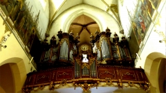 Trnava Slowakei St. Nikolaus Klaisorgel (Tyrnau)  Bildquelle: Musikverlag Apitz
