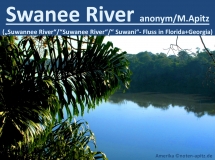 Swanee River anonym / M. Apitz (Manfed Apitz); Amerika Sparte: Amerika Volkslied