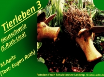 Tierleben 3 Hausschwein (E. Roth-Lied) – Eugen Roth-Lieder; Manfred Apitz (Text: Eugen Roth); Potsdam Ferch Schwielowsee Landesp. (Landesprodukte Handel) Sparte: 20.+21. Jh. Konzert