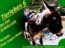 Tierleben 6 Der Esel (E. Roth-Lied) – Eugen Roth-Lieder; Manfred Apitz (Text: Eugen Roth); Peru Ollantaytambo, Esel – Arbeitstier Sparte: 20.+21. Jh. Konzert