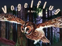 Vogelflug – M. Apitz; Bild: Waldkauz © noten-apitz.de; Bildquelle: Voss-Kunstbild (Serie)
