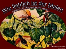 Wie lieblich ist der Maien Liedsatz Johann Steuerlein/M.Apitz (Text: Martin Behm) Bild: Botanischer Garten Wuppertal Lupinen… Bildquelle: Musikverlag Apitz