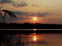 Bild: Wörbzig bei Köthen Anhalt Sonnenuntergang, Bildquelle: Musikverlag Apitz