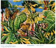 Bild: Osterluzeifalter; Bildquelle: Voss-Kunstbild (Serie)